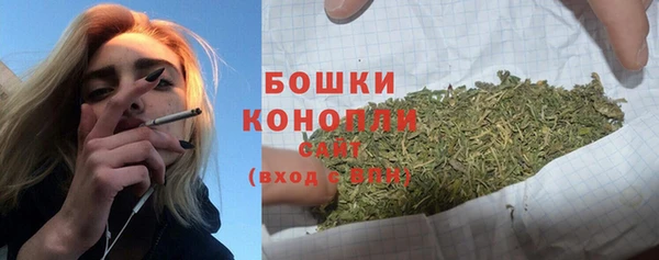 сатива Сатка