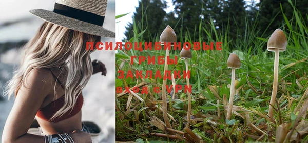 дурь Алексеевка