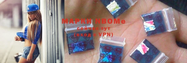 сатива Сатка