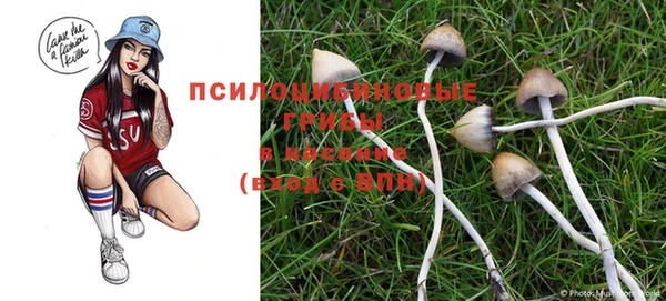 тгк Абинск