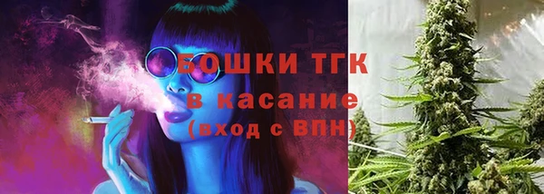 тгк Абинск