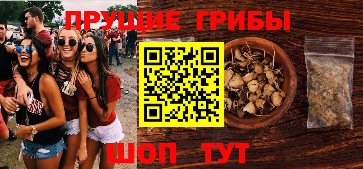 Отрадное  Псилоцибиновые грибы GOLDEN TEACHER  Вход с VPN 